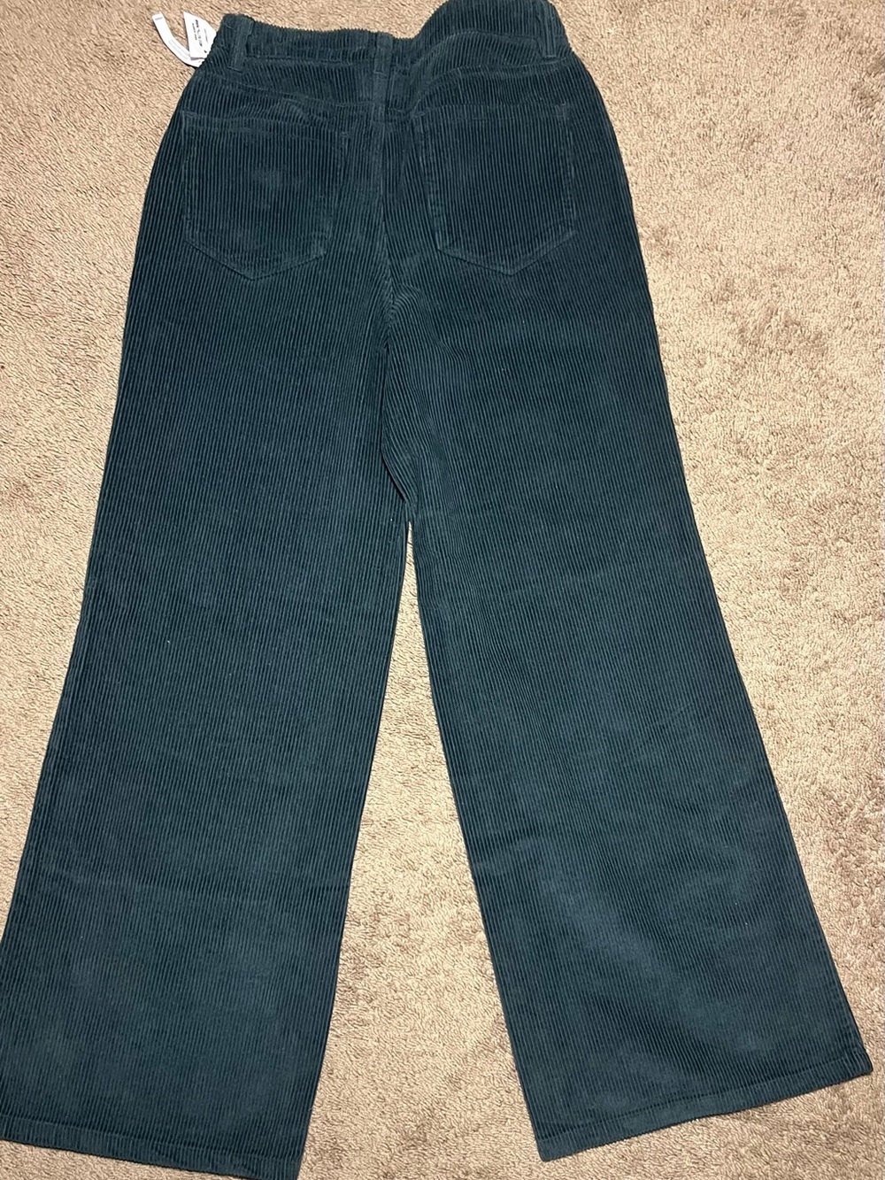 RSQ Wide Leg Corduroy Pants in Dark Green